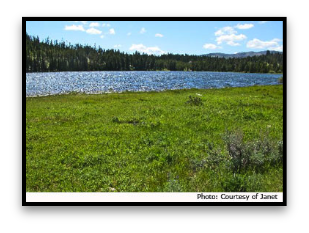 Krohn Lake Montana